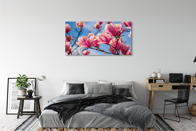Canvas print Flowering trees