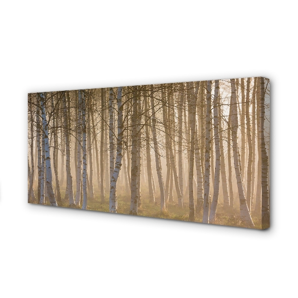 Canvas print Forest sunrise