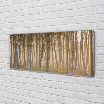 Canvas print Forest sunrise