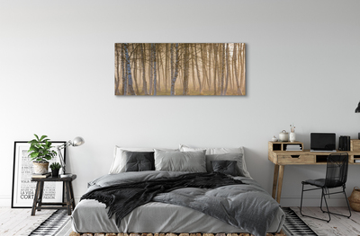 Canvas print Forest sunrise