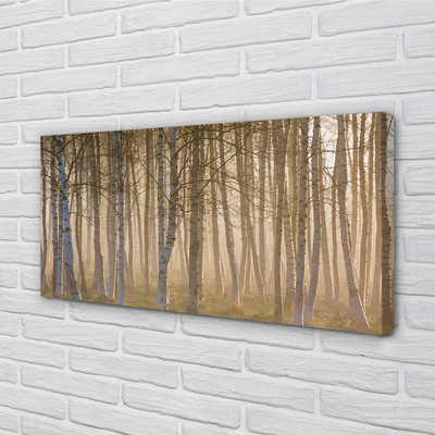 Canvas print Forest sunrise