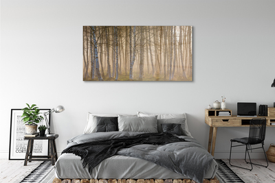 Canvas print Forest sunrise