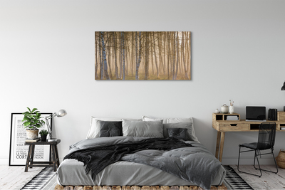 Canvas print Forest sunrise