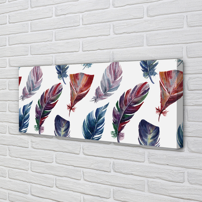 Canvas print Colored feathers