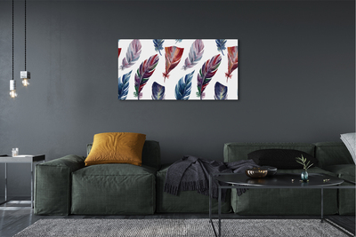 Canvas print Colored feathers
