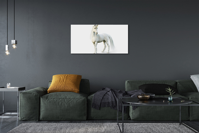 Canvas print White unicorn