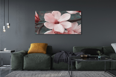 Canvas print Pink flowers