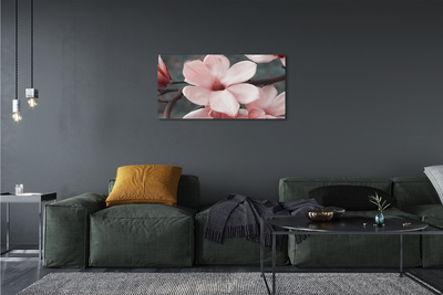 Canvas print Pink flowers