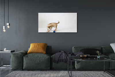 Canvas print Play with the dog