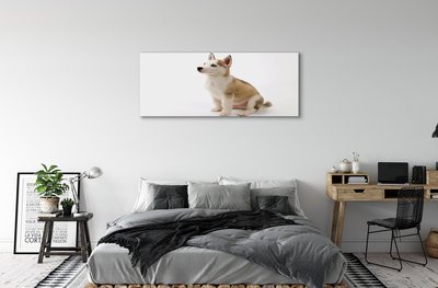 Canvas print Sitting small dog