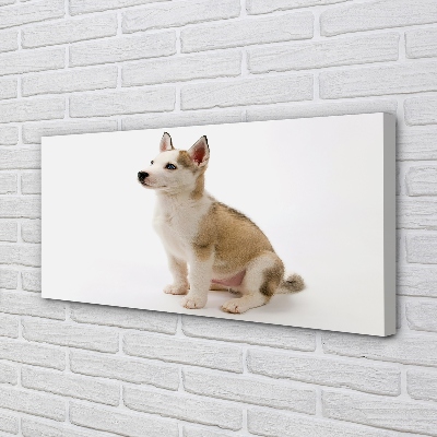Canvas print Sitting small dog