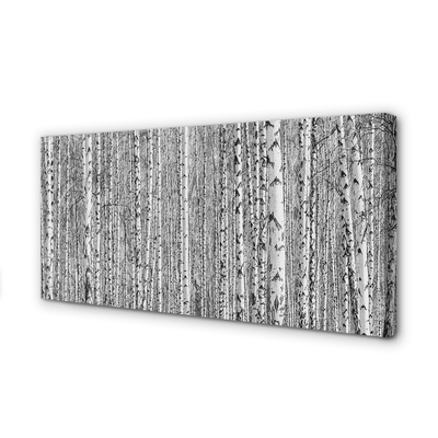 Canvas print Black and white forest