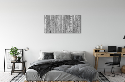 Canvas print Black and white forest