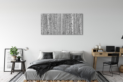 Canvas print Black and white forest