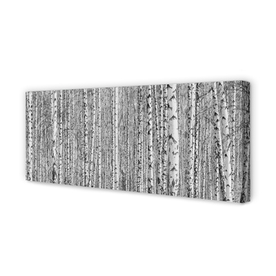 Canvas print Black and white forest