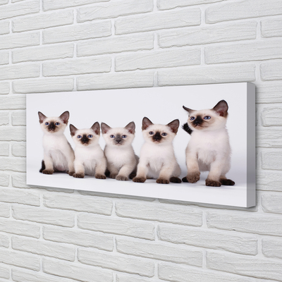 Canvas print Kitten