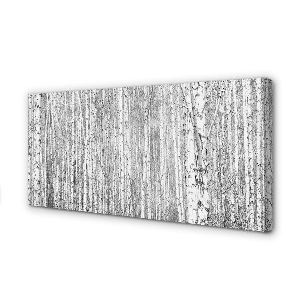 Canvas print Black and white forest