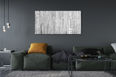 Canvas print Black and white forest