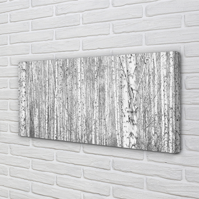 Canvas print Black and white forest