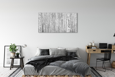 Canvas print Black and white forest