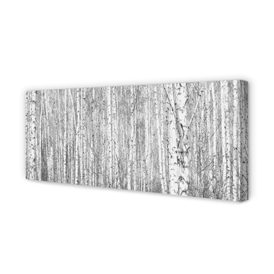 Canvas print Black and white forest