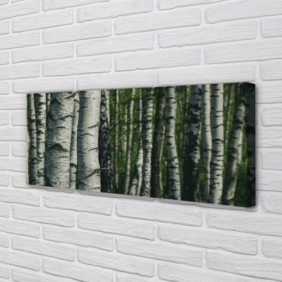 Canvas print Birch forest