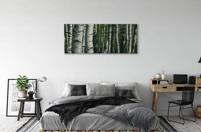 Canvas print Birch forest