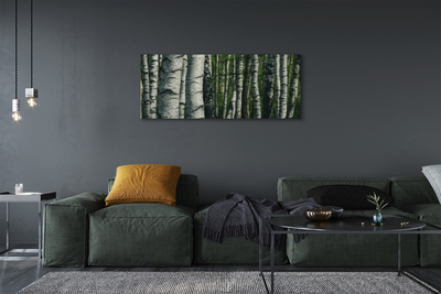 Canvas print Birch forest