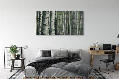 Canvas print Birch forest