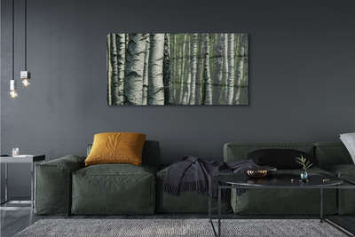 Canvas print Birch forest