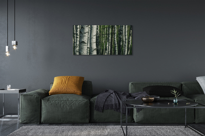 Canvas print Birch forest