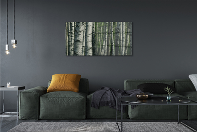 Canvas print Birch forest