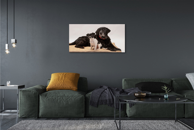 Canvas print Coated dogs