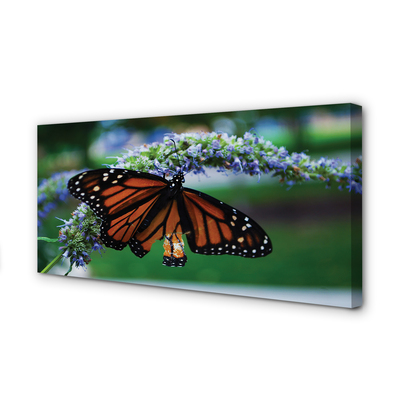 Canvas print Butterfly on flower