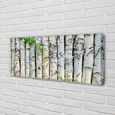 Canvas print Birch leaves