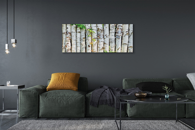 Canvas print Birch leaves