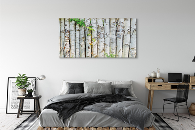 Canvas print Birch leaves