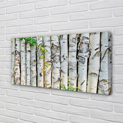 Canvas print Birch leaves