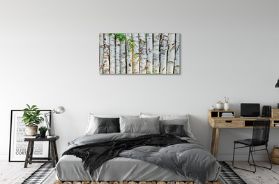 Canvas print Birch leaves