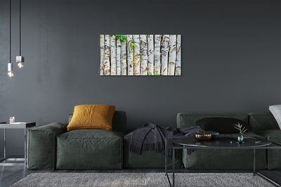 Canvas print Birch leaves