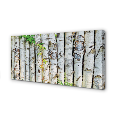 Canvas print Birch leaves