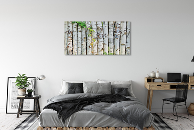 Canvas print Birch leaves