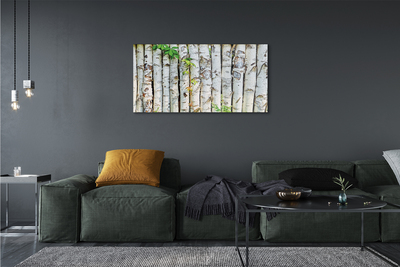 Canvas print Birch leaves