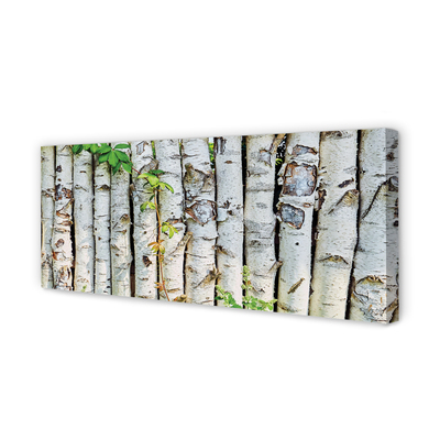 Canvas print Birch leaves