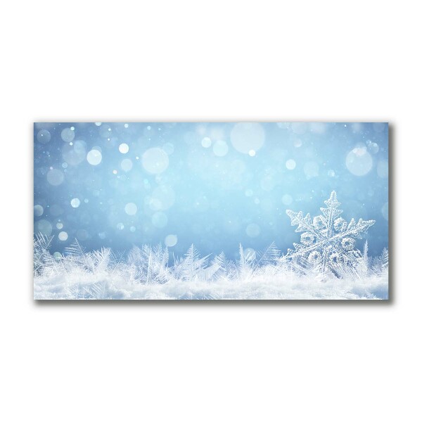 Canvas print Snowflakes Winter Snow