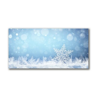 Canvas print Snowflakes Winter Snow