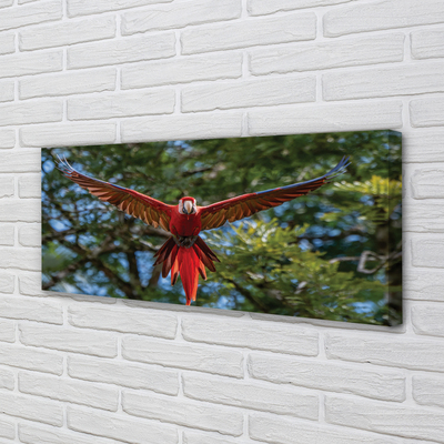 Canvas print Macaw parrot
