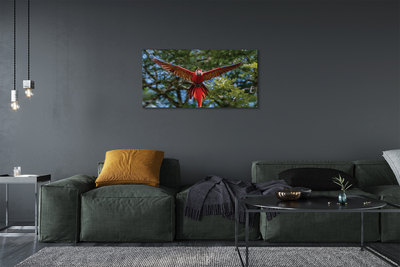 Canvas print Macaw parrot