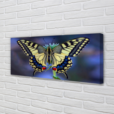 Canvas print Butterfly on flower