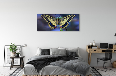 Canvas print Butterfly on flower